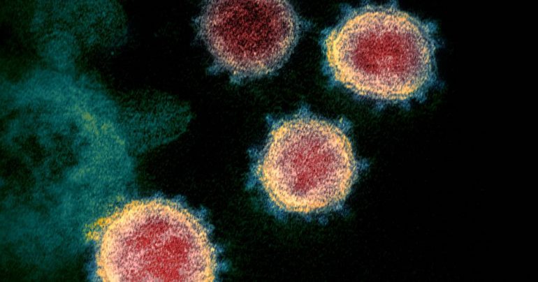 Similar to the virus caused by the Spanish flu, the coronavirus and its variants will also be friendly to humans