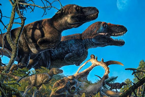 Surprising discovery: Dinos had offspring in the Arctic