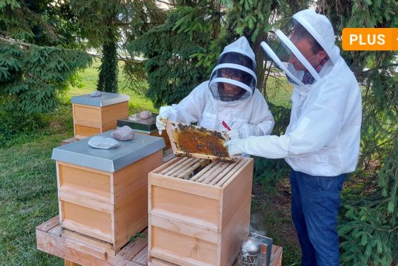 Neuberg-Schrobenhausen: Young beekeepers in the Neuberg area: why is beekeeping booming?