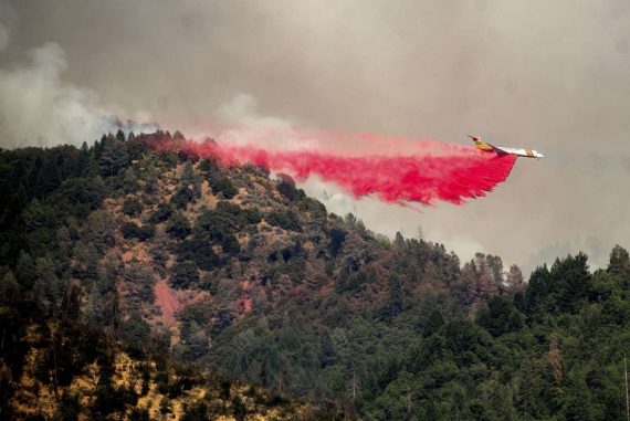 USA and Canada: Meteorologists again warn of extreme heat - Panorama