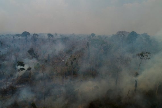 Brazil's "green lung": massive wildfires are raging in the Amazon