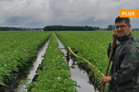 Neuberg: Rain in Neuberg region is causing trouble for potatoes and cherries