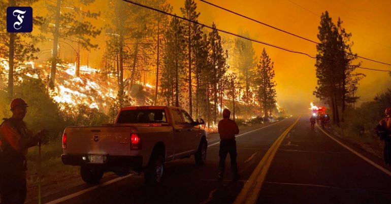 Wildfires in Canada and the United States: Emergency in the West