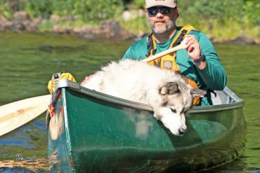 Ontario in Canada: Picnic with Bears